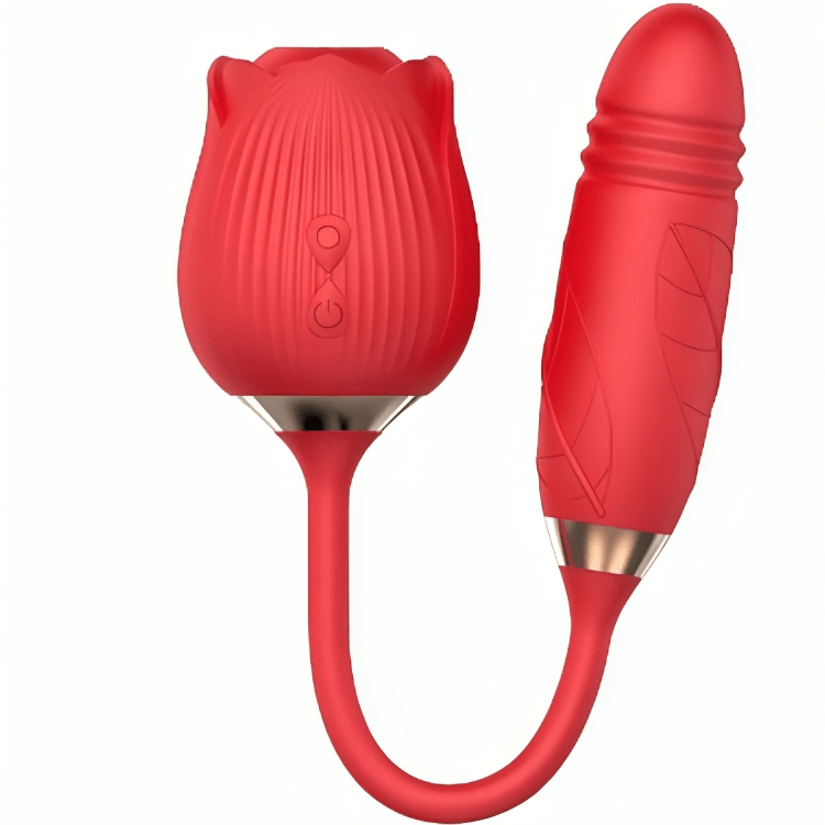ARMONY - DELIGHT FLEUR SUCE ET POUSSÉE ROUGE - Jouez Plaisir