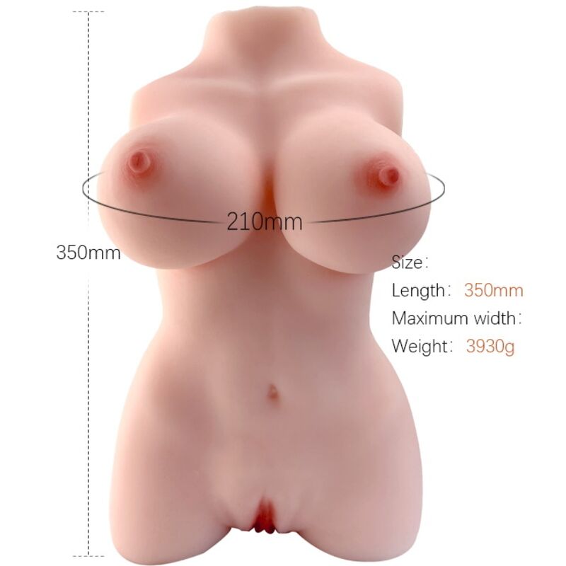 ARMONY - MODÈLE RÉALISTE DE TORSE FÉMININ 3 - Jouez Plaisir